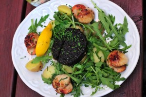 Lorne_Scallops