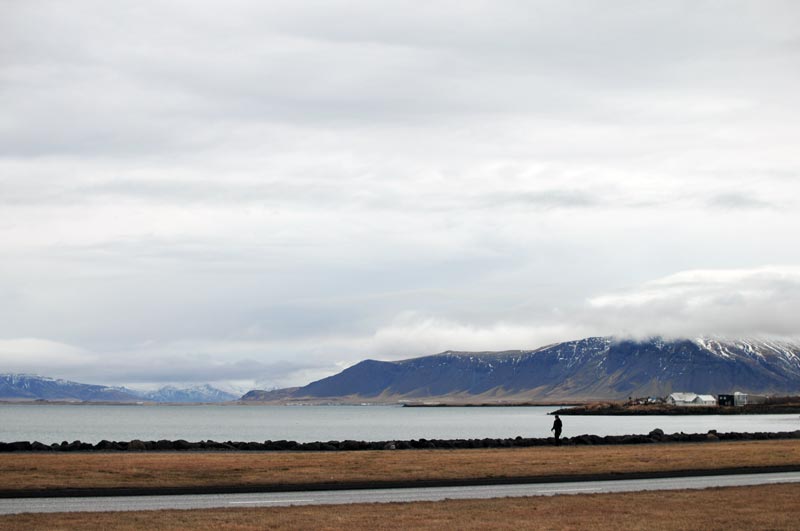 Hotel Cabin, Reykjavik, Iceland © Food and Drink Glasgow Blog