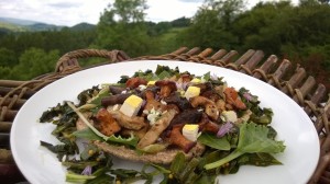 Galloway wild foods foraging forage scotland Scottish food and drink Glasgow blog