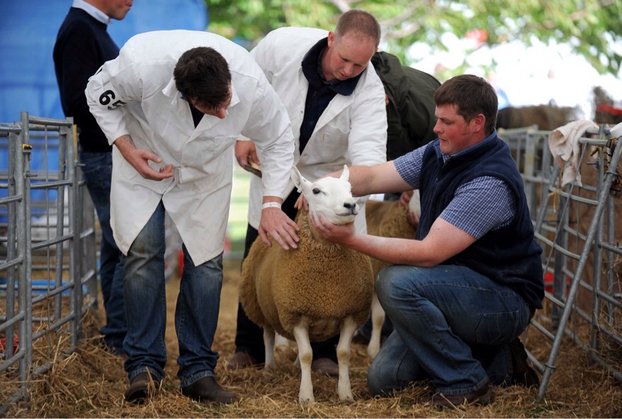 Royal highland show Edinburgh food drink Glasgow blog