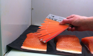 marine harvest scottish salmon