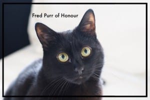 fred purr of honour
