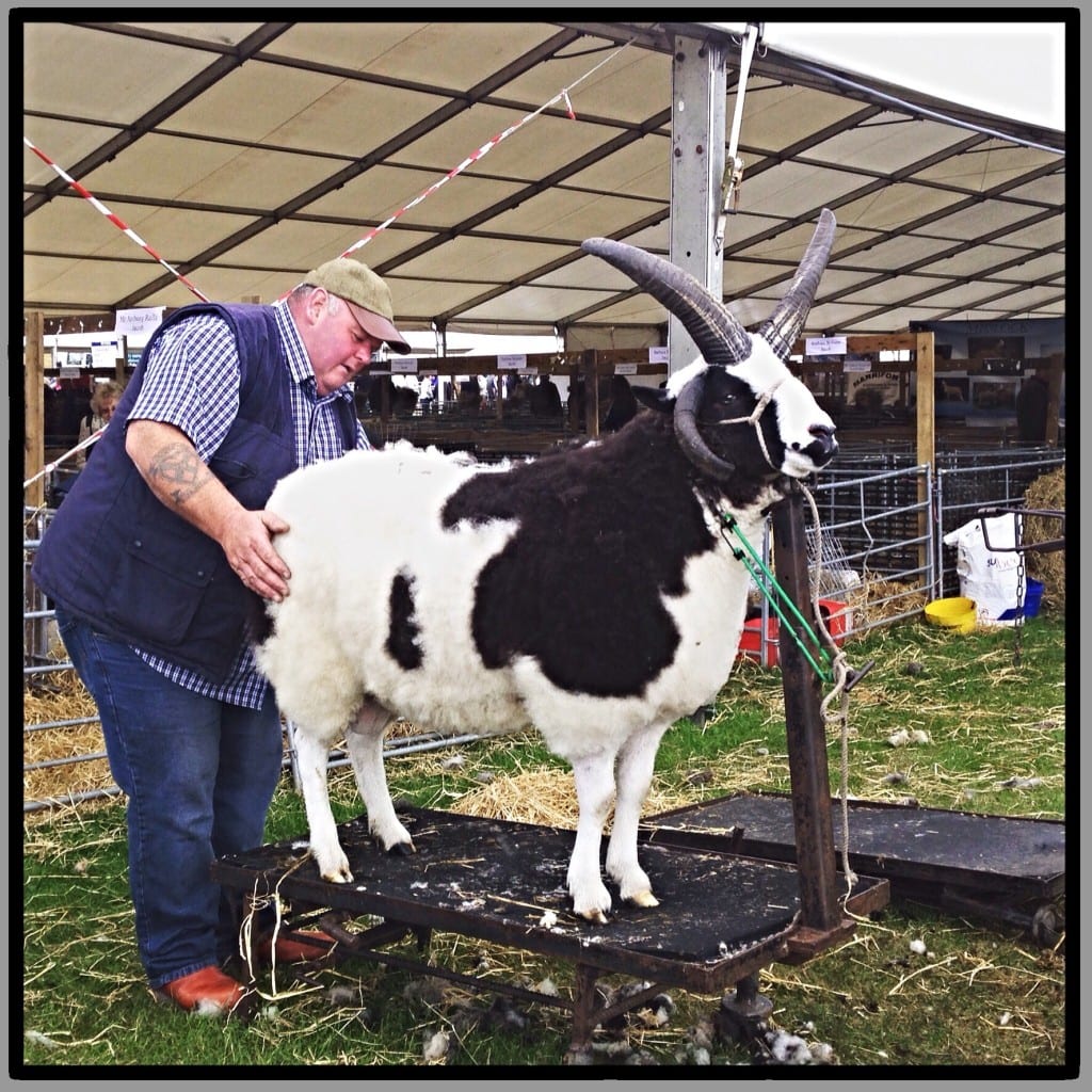 Royal highland show