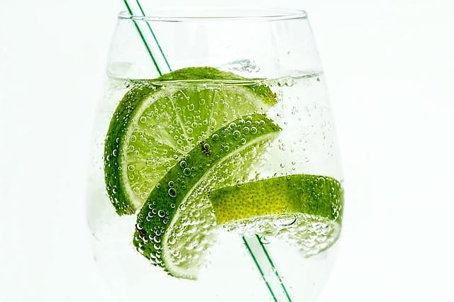 gin_and_tonic