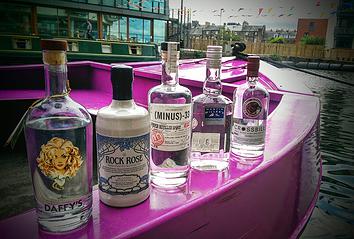 juniper_cruise_gin_solid_liquids