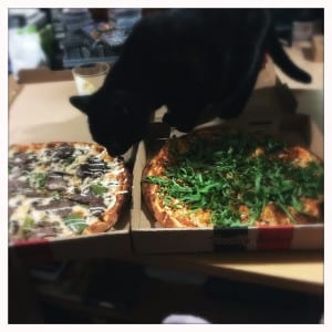 cc's pizza pie company fred sniffs