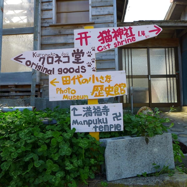 Cat_Island_Japan_cat_.signs