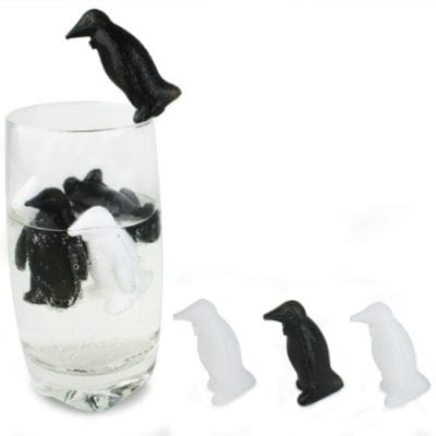 penguin drink coolers