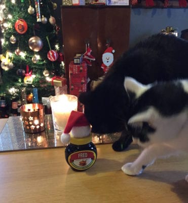 fred marmite christmas name