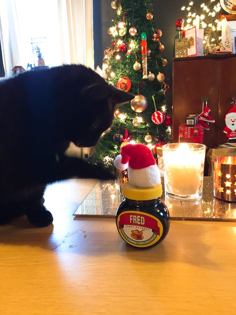 fred marmite christmas name