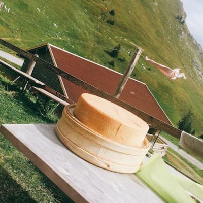 rupp cheese press trip austria
