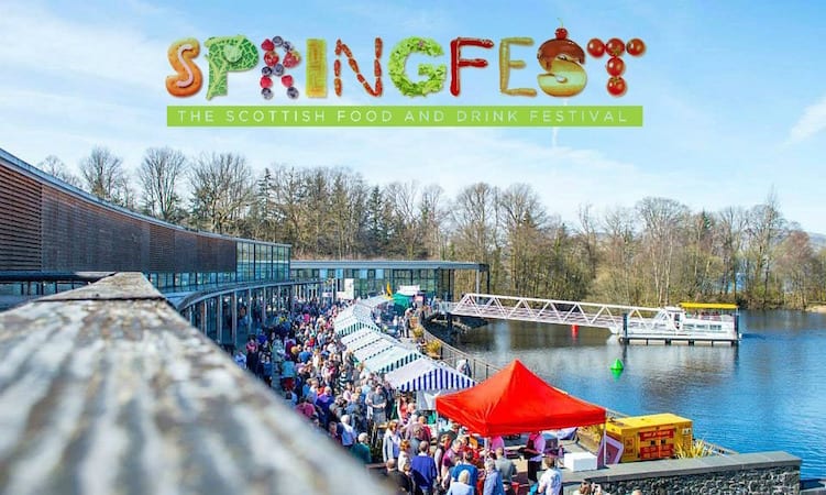 Springfest 2016 image