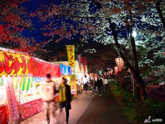 sakura japan