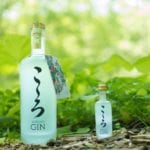 Kokoro Gin Japanese Gin