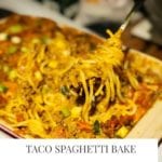 taco bolognese recipe simple easy
