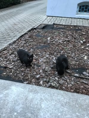 Bratislava Slovakia new Year Escape 