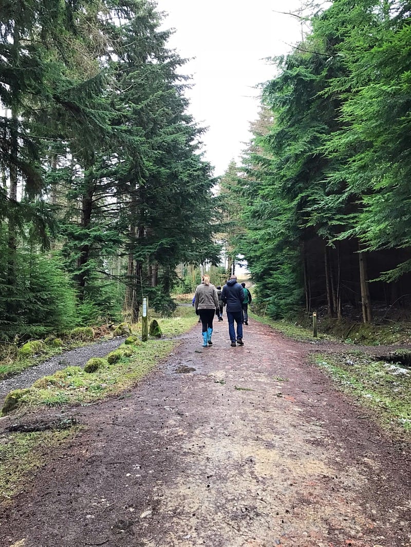 hamsterley forest durham great outdoors