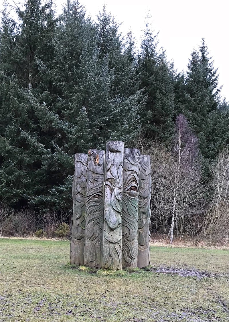 hamsterley forest durham great outdoors