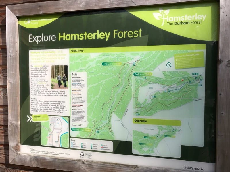hamsterley forest durham great outdoors