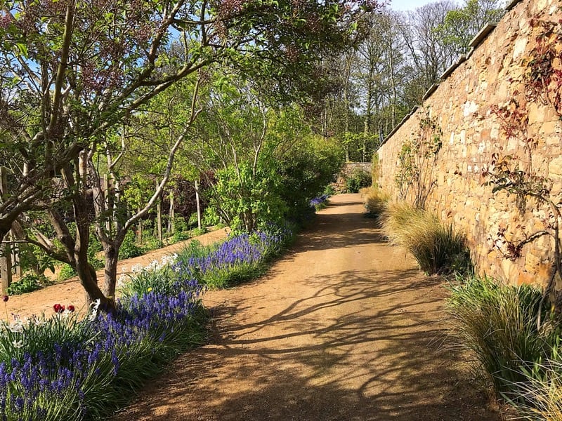 camboe estate foodie fife trip foodie explorers