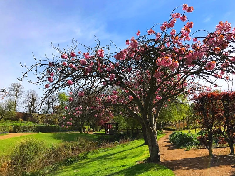 camboe estate foodie fife trip foodie explorers