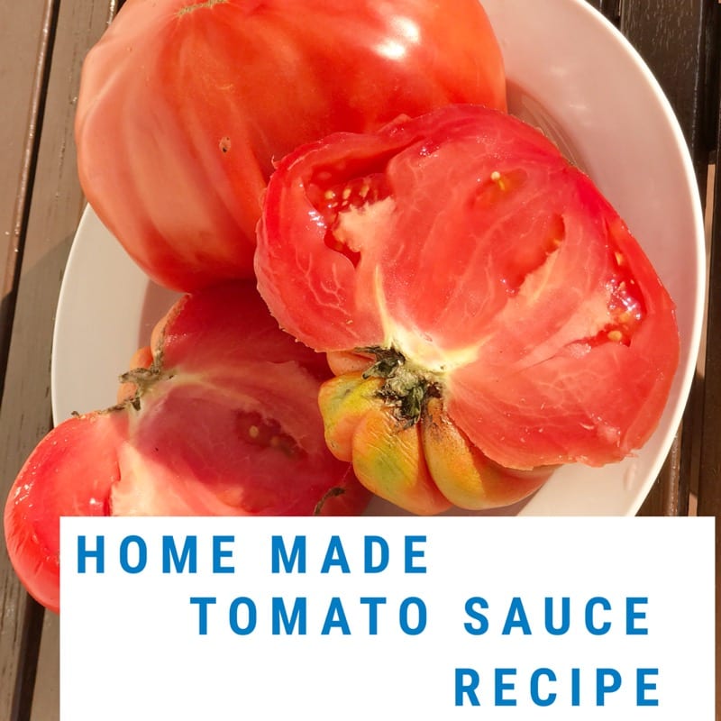 Foodie explorers tomato sauce recipe