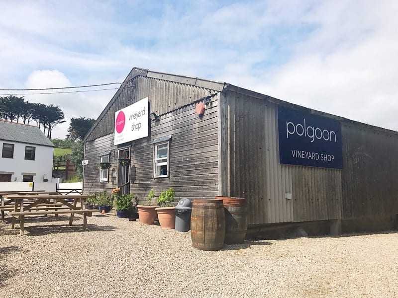 Polgoon vineyard and orchard cornwall foodie Explorers 