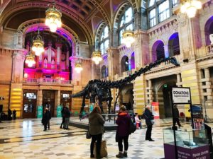 Dippy diplodocus Glasgow kelvingrove Museum and Art Gallery 