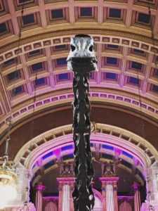 Dippy diplodocus Glasgow kelvingrove Museum and Art Gallery 