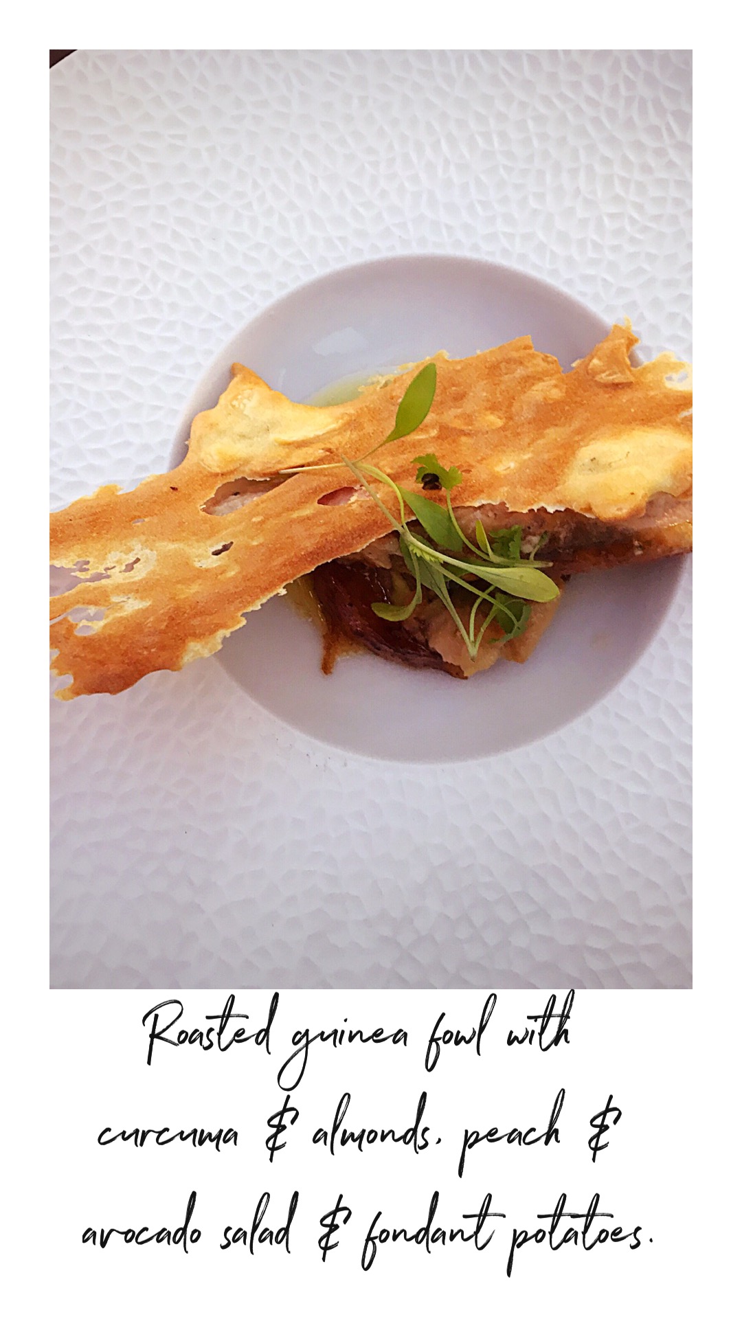 bustronome london gastro bus tour