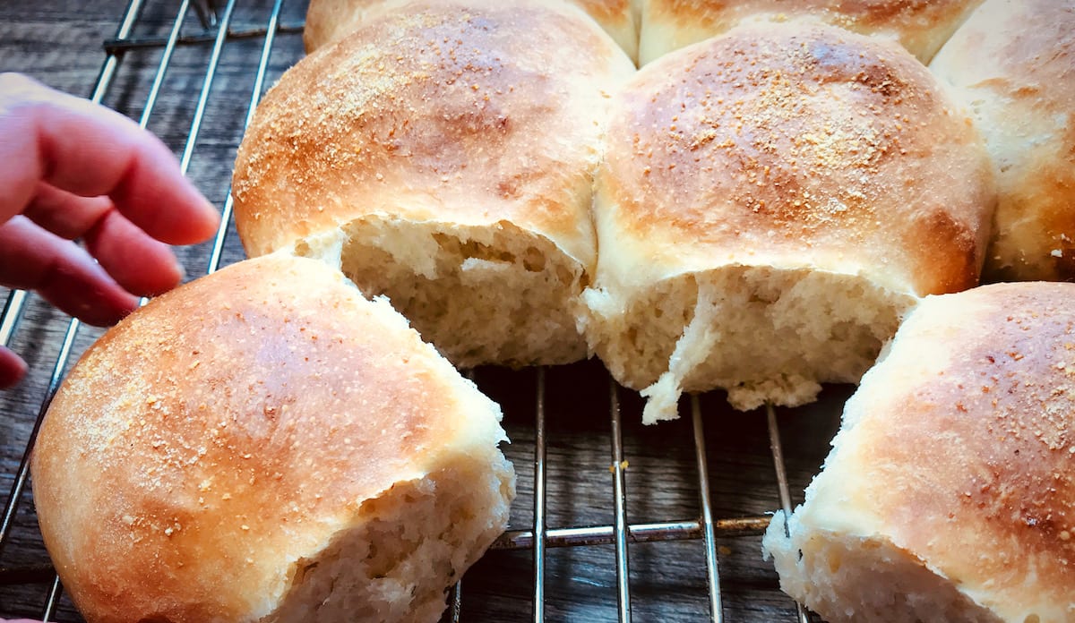 scottish morning rolls recipe
