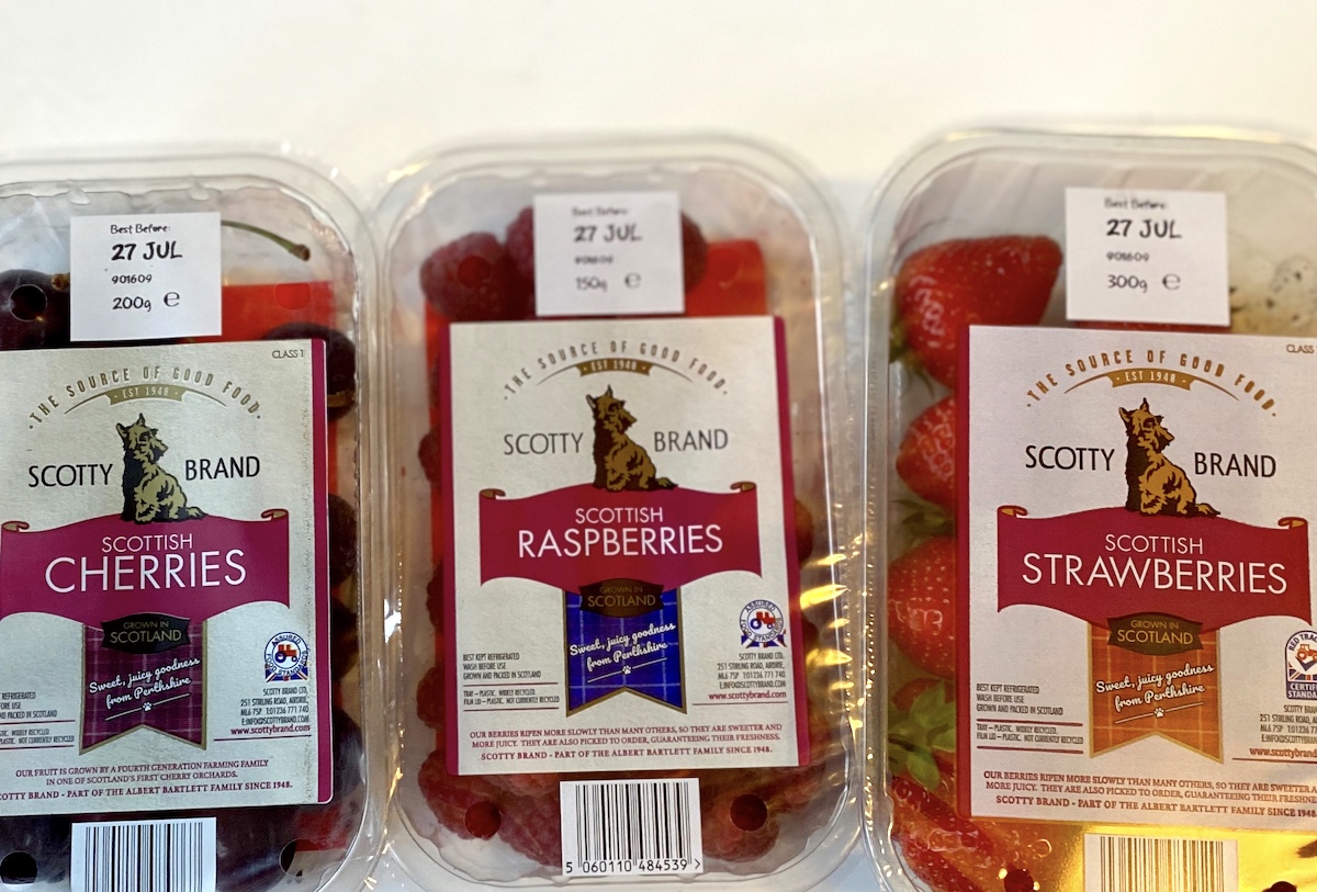 scotty brand fruits