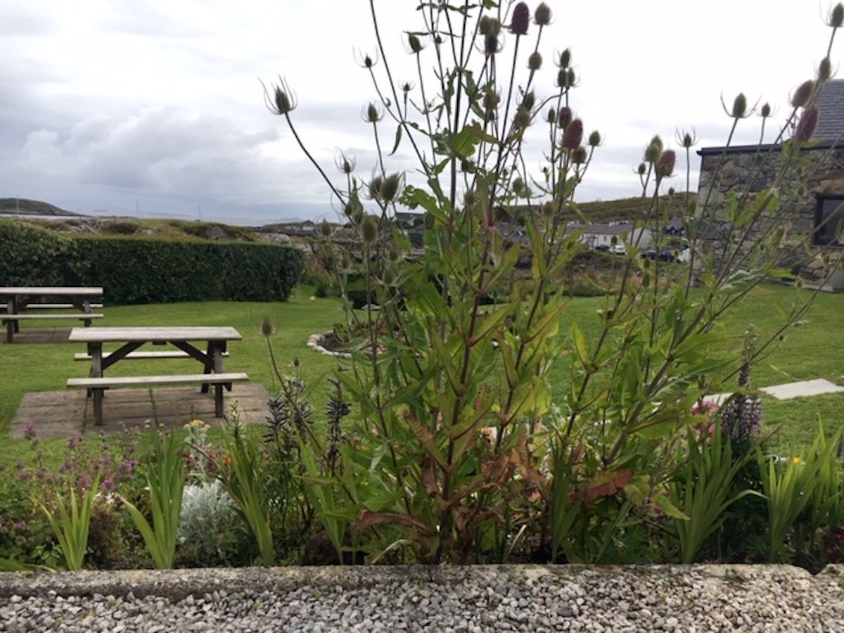 view isle of coll hotel