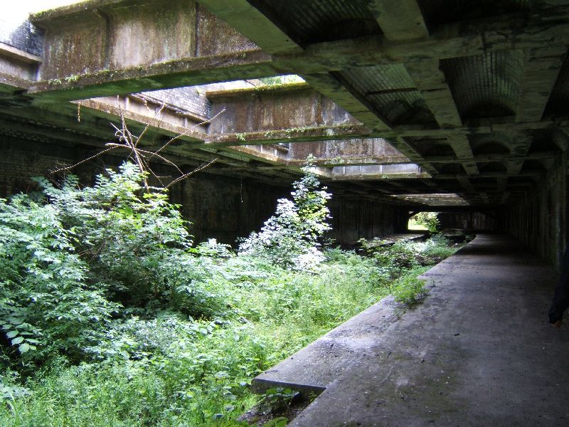 botanic gardens station platform