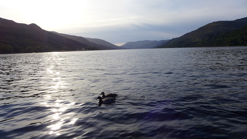 Loch Earn with ducks