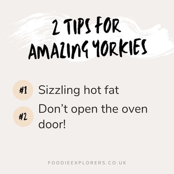 tips for amazing yorkies