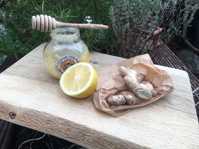 lemon and ginger drink recipe