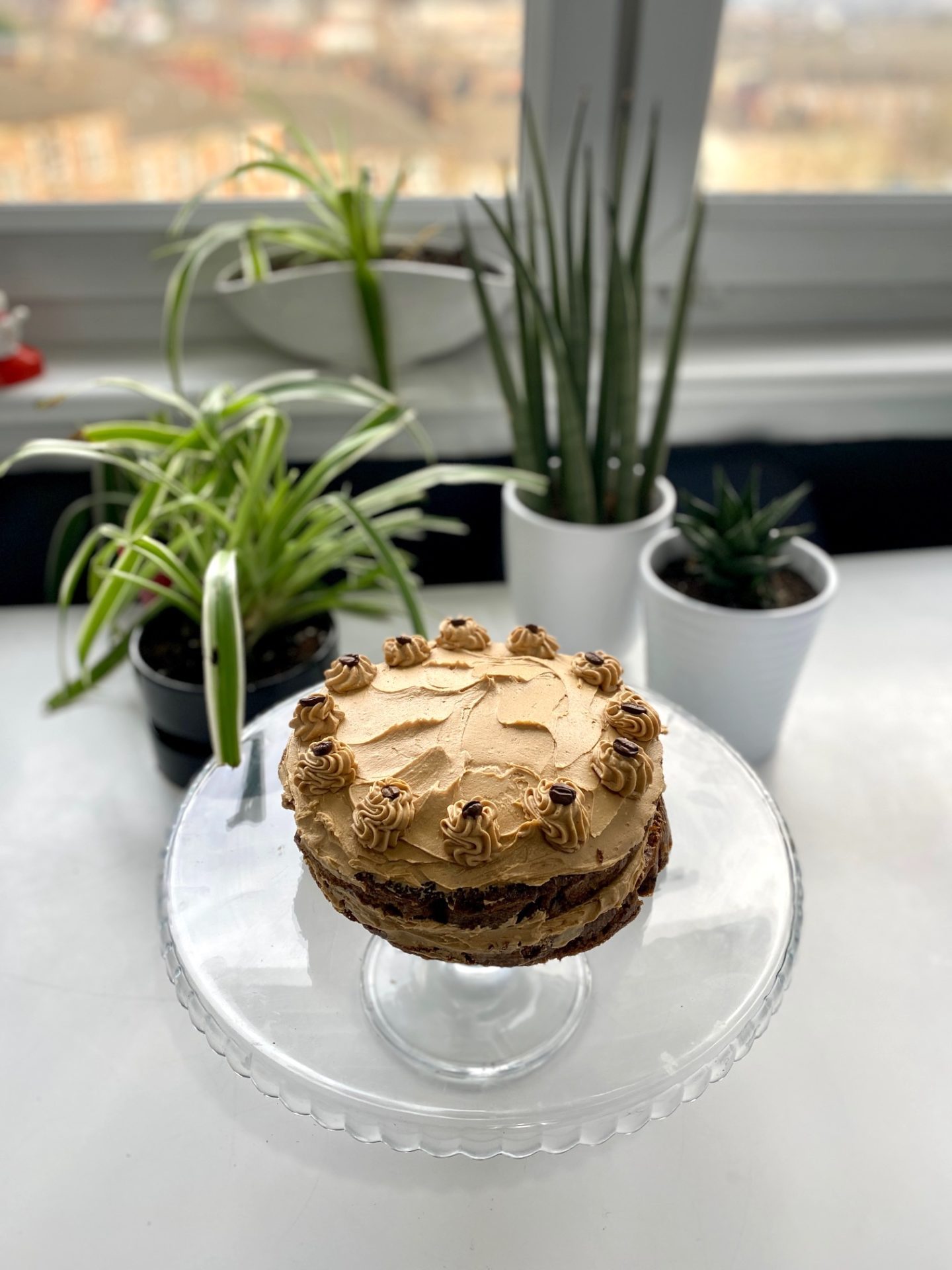 Coffee cake from above