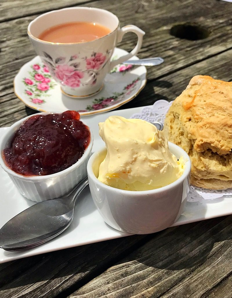 Rectory tearoom morwenstow Cornwall Cream tea 