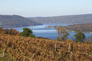 Vines-at-Keuka-Lake-300x199