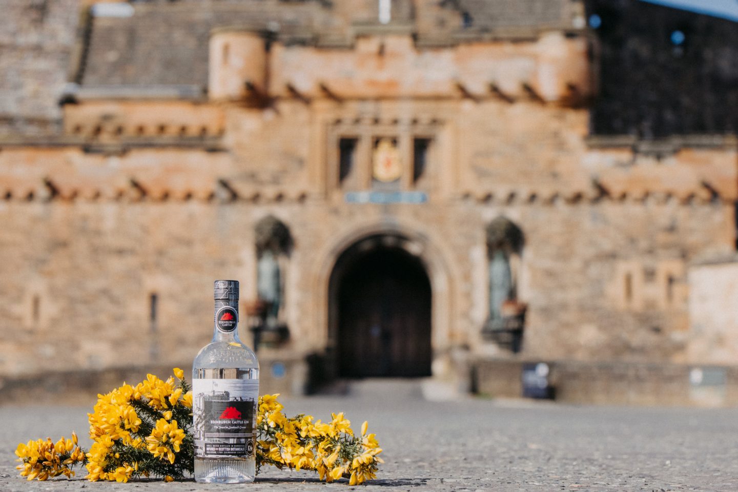Edinburgh castle gin 