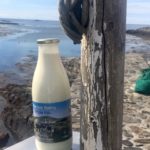 gigha milk