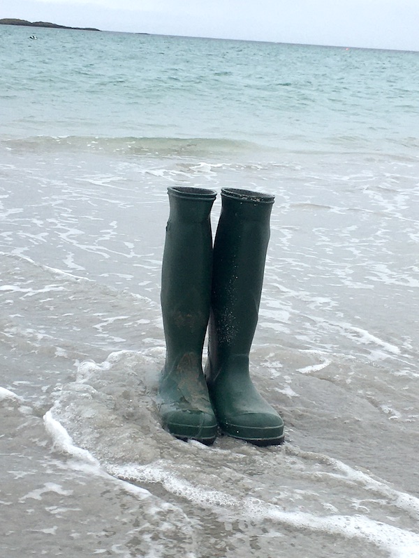 wellies tiree