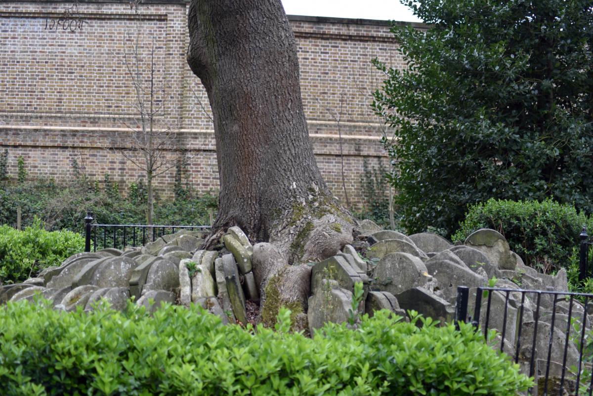 the-hardy-tree-with-gravestones