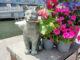 ettore cat statue viareggio