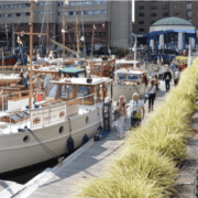 St Katherines Dock sailing festival