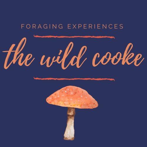 wild cooke foraging