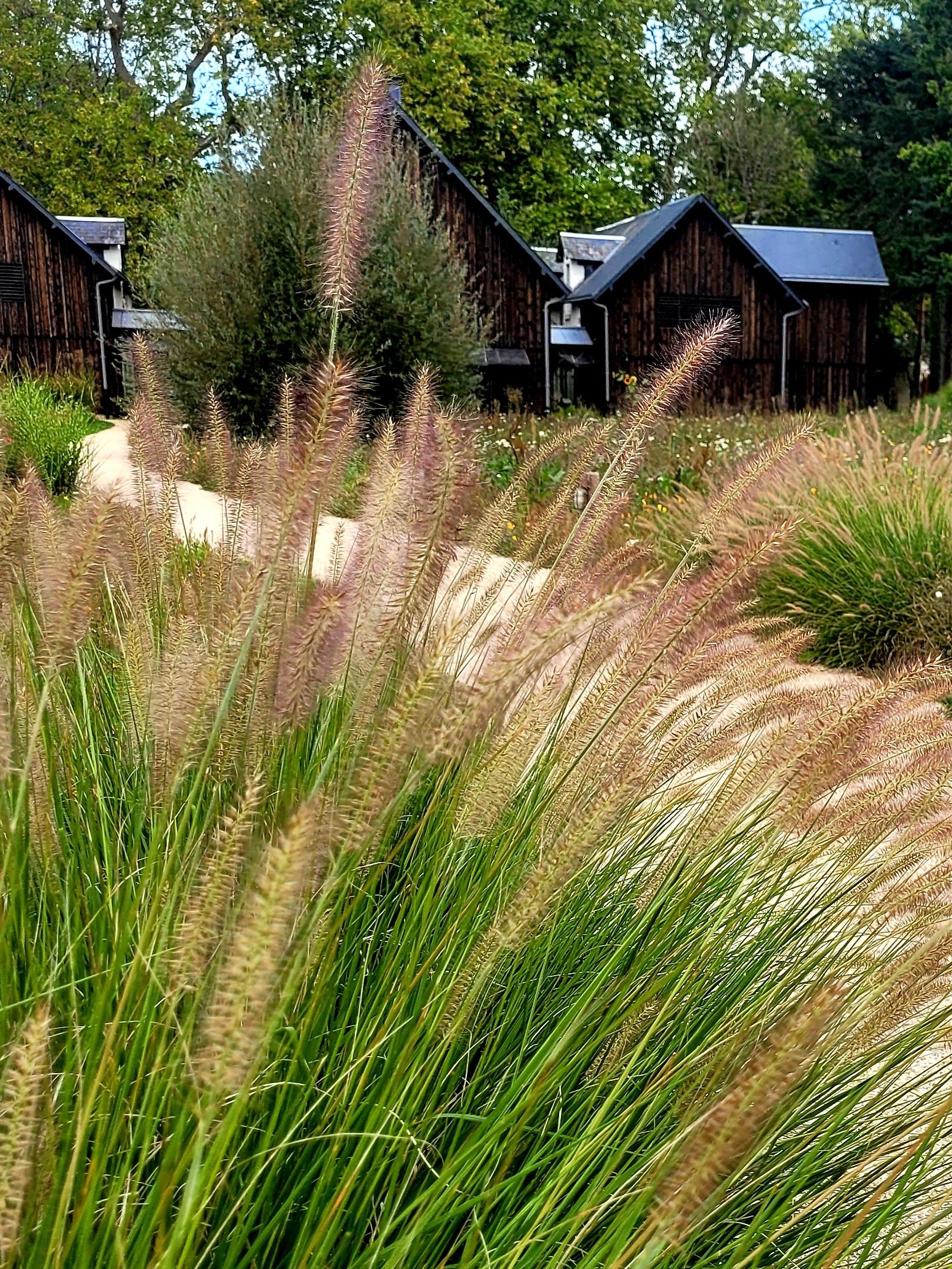 les sources de cheverny chateau outside