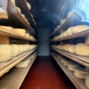 The Ethical Dairy cheese storage