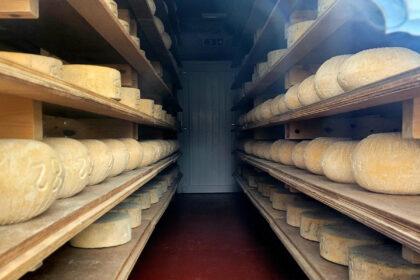 The Ethical Dairy cheese storage